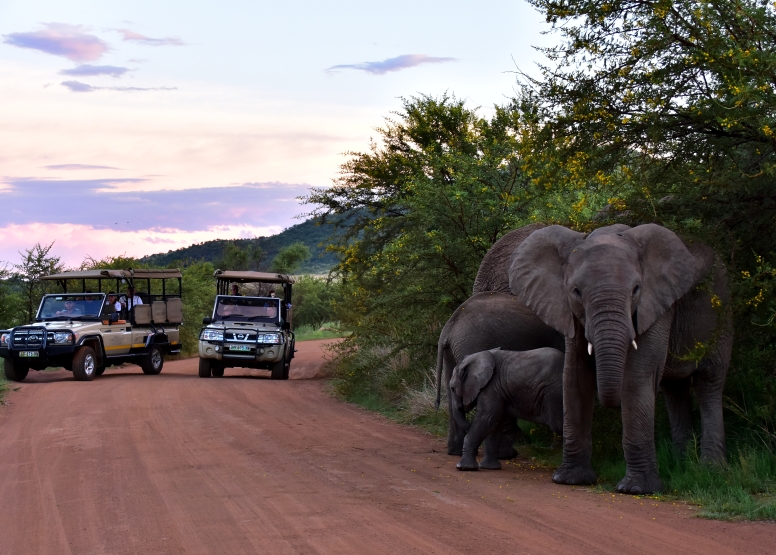 Private Game Drive Sun City - 10 Seater image 7