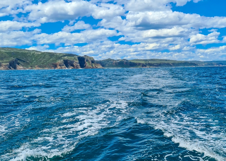 Knysna Sunset Cruise on Larabelle image 1