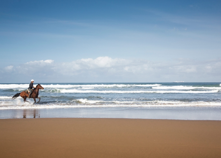 Kei Mouth Beginners Beach Ride image 1