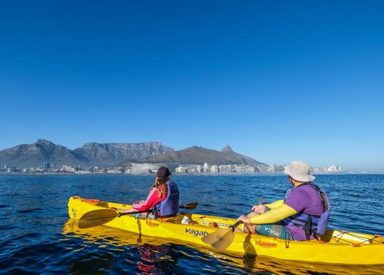 Table Bay – Dolphin Route image 2