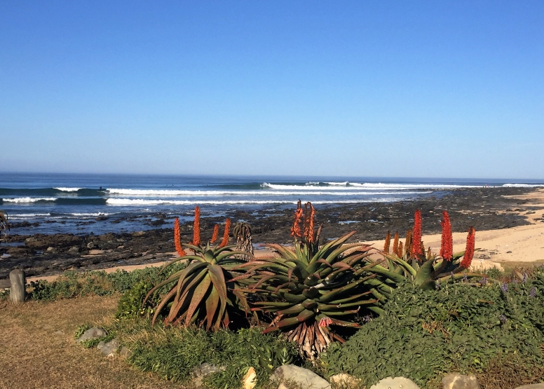 Surf Guide - Full Day image 2