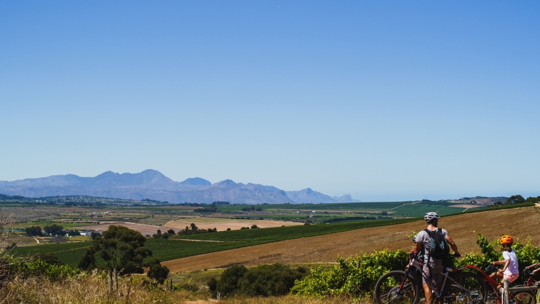 Stellenbosch Family Tour image 2