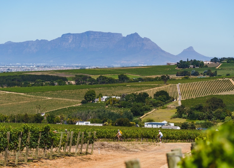 Stellenbosch Winelands Luxury EBike Cycle Tour image 4