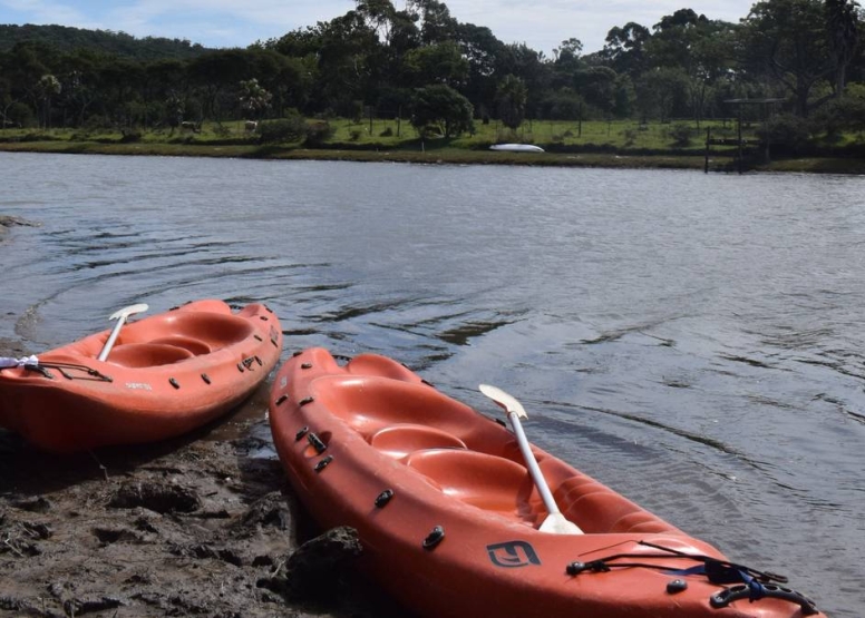 Full Day River Kayak or Canoe Rental image 7