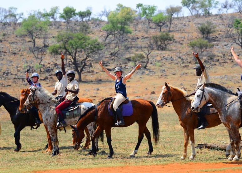 Sunset Horseback Safari image 4