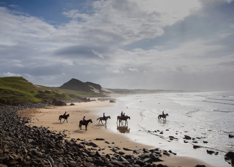 Kei Mouth Beginners Beach Ride image 9