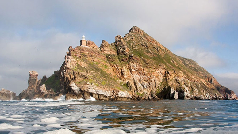 Cape Point Safari & Seal Snorkeling Experience image 1