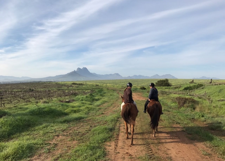 HALF DAY HORSEBACK WINE TOUR image 3