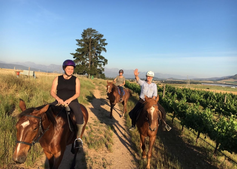 2 HOUR VINEYARD RIDE image 3