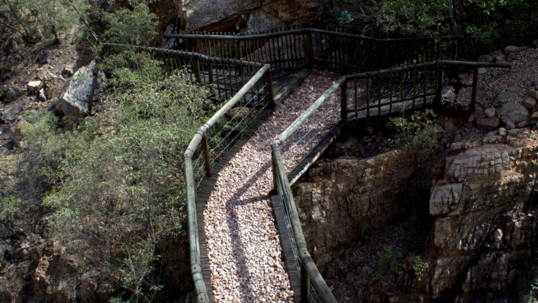 Harties Monkey Sanctuary Tour image 4