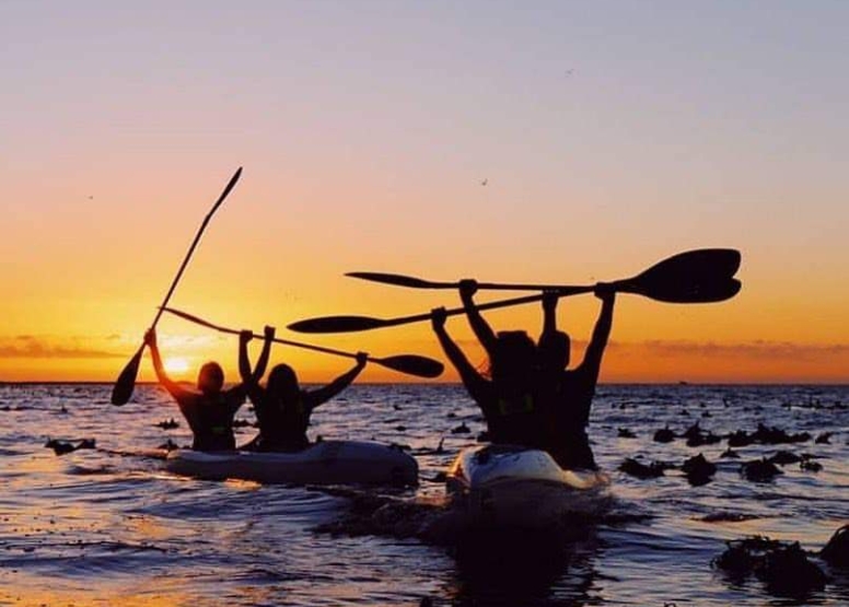 Guided Kayak Tour image 6