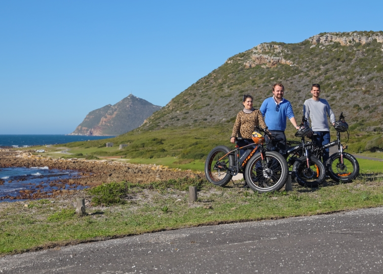 Electric Bike Cape Peninsula Tour image 10