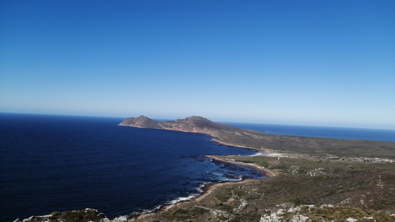 Cape Point Trail Run image 5