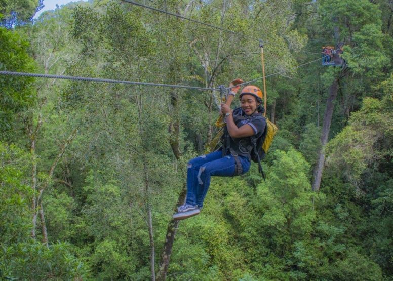 Tsitsikamma Canopy Tours image 8