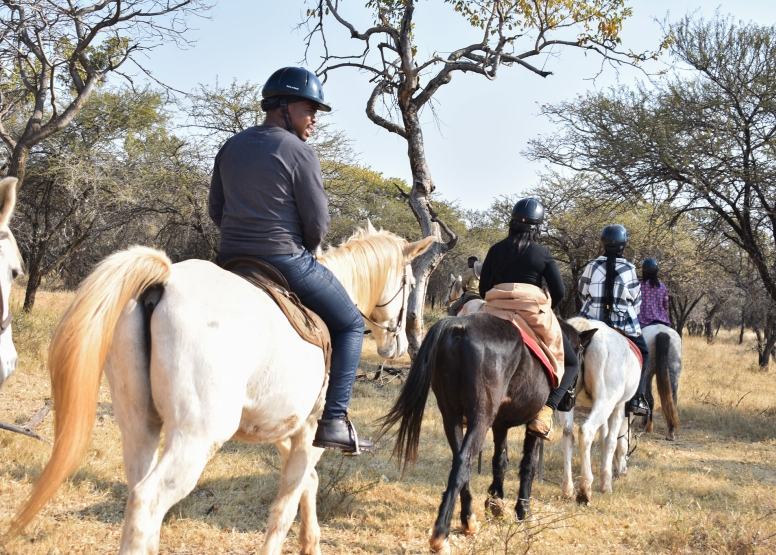 1 Hour Sunrise Safari Horse Ride Harties image 7