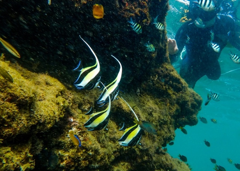 Cape Vidal Snorkeling Adventure image 1