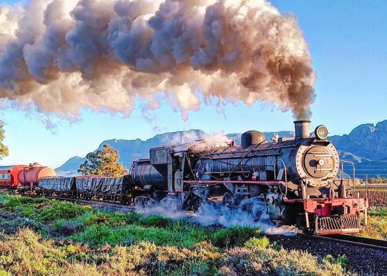 Steam Train to Elgin Observation Car Groups 25 to 34 pax image 7