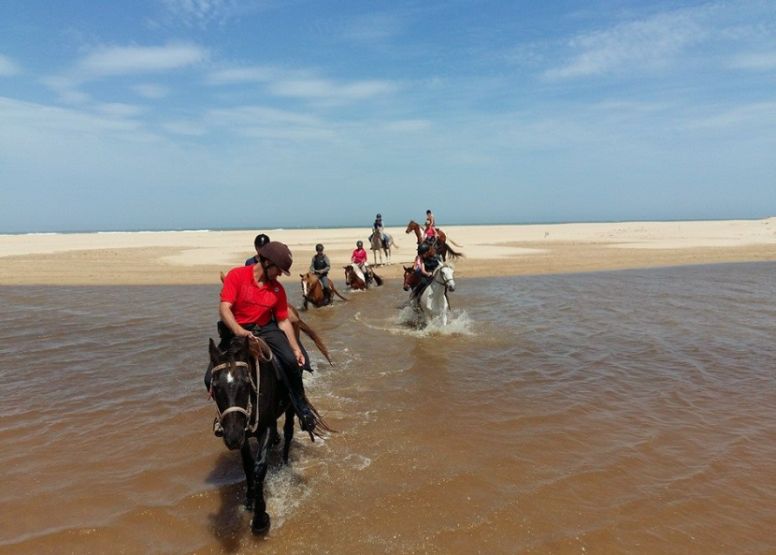 Full Day Beach Horse Ride image 5