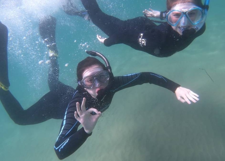 Guided Reef Snorkel image 1