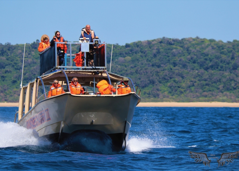 Whale & Dolphin Watching image 5