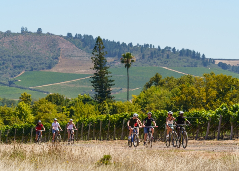 Stellenbosch Half Day Winelands Mountain Bike Tour image 3