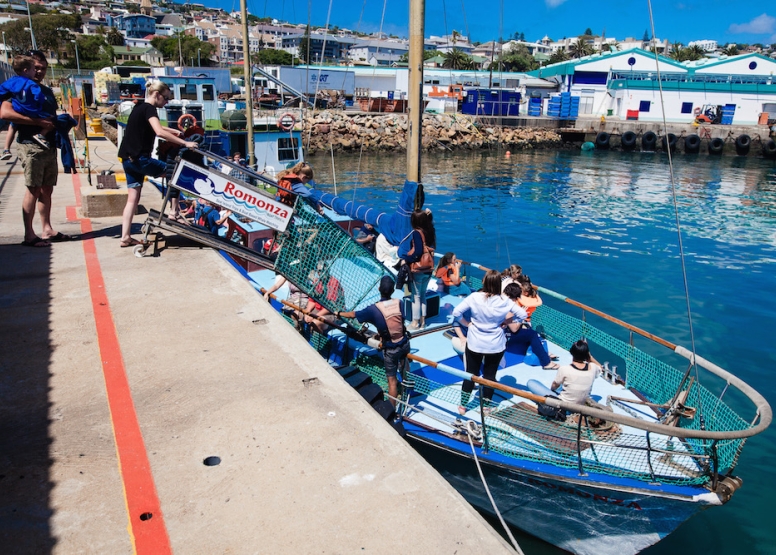 Boat Based Whale Watching image 3