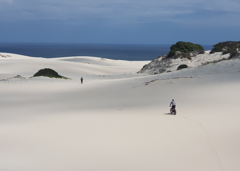 Fat Bike Tour Walker Bay Nature Reserve image 3