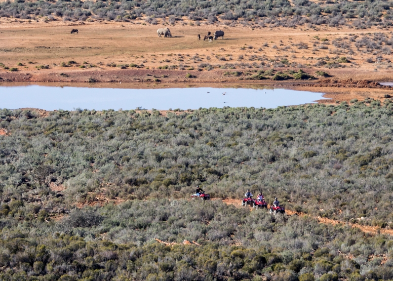 Quad bike Safari (Including Transfer) image 6