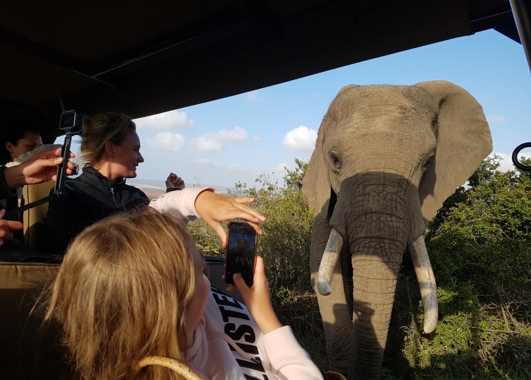 GAME DRIVE SUNRISE / SUNDOWNER image 3