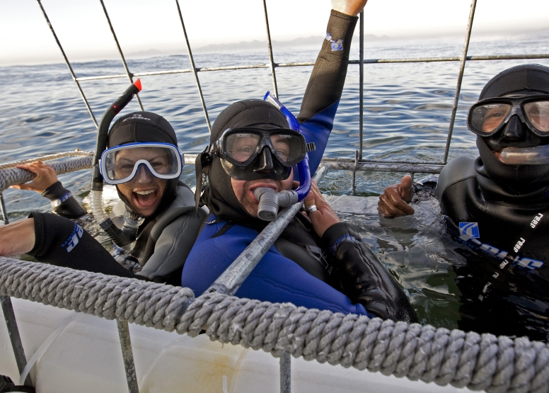 Shark Cage Diving Cape Town image 2