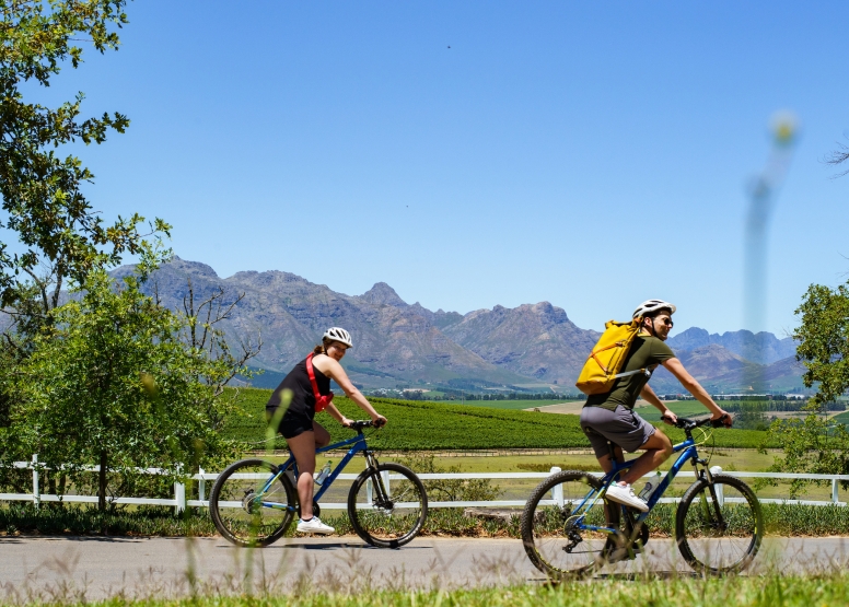 Stellenbosch Half Day Winelands Mountain Bike Tour image 4