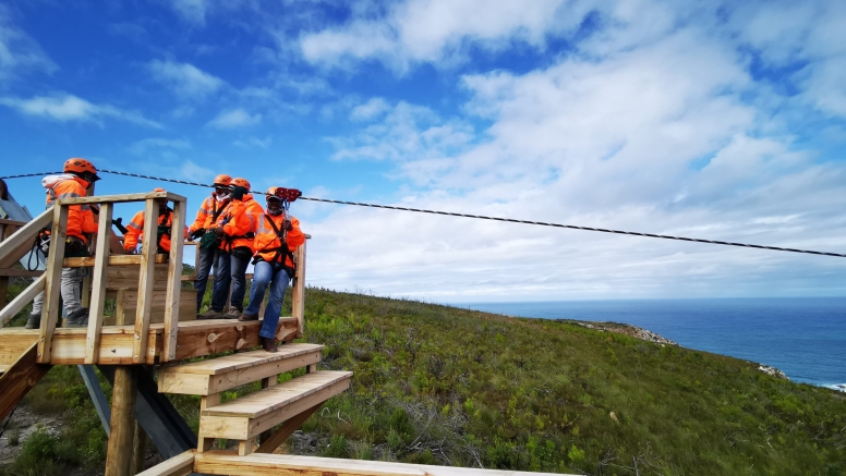 Knysna Ziplines image 3