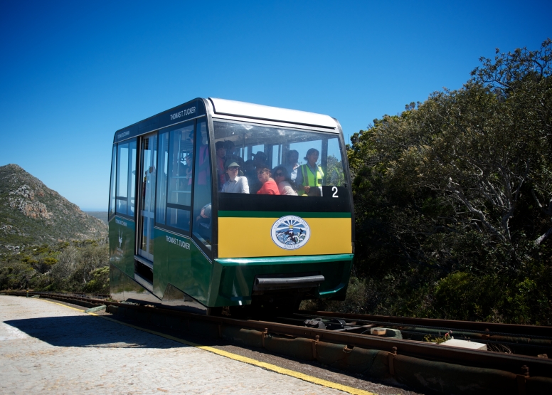 Cape Point Funicular - One Way Ticket - Up image 10