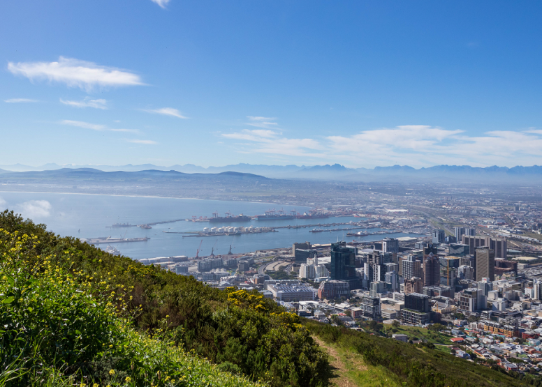Full Day City & Winelands image 3