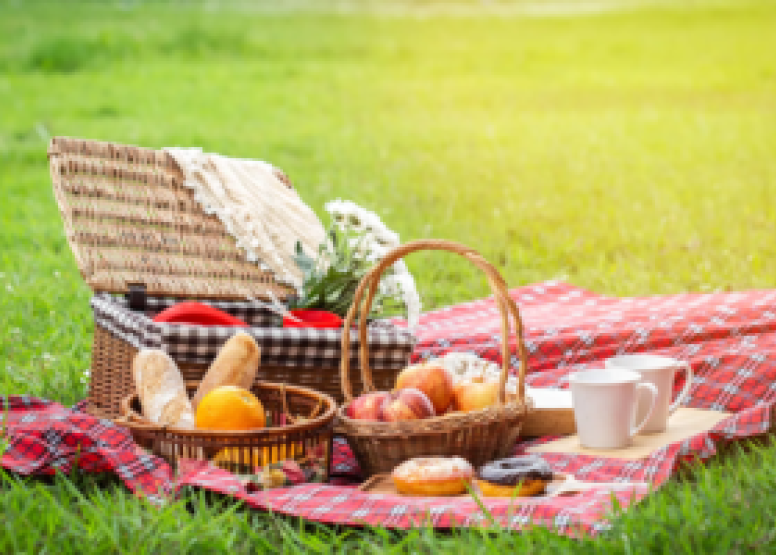 2hr Bike Rental with picnic basket Children image 1