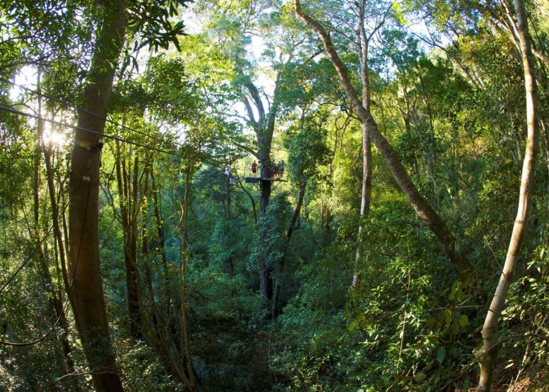 Tsitsikamma Canopy Tours image 4