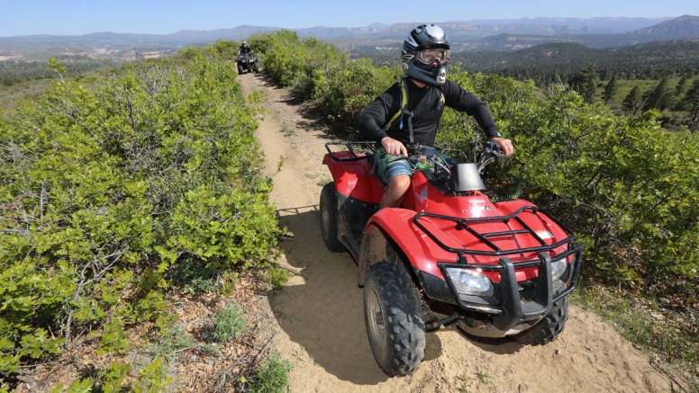 4km quad bike ride Knysna image 4