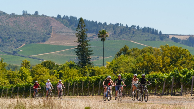Stellenbosch Half Day Winelands Mountain Bike Tour image 3