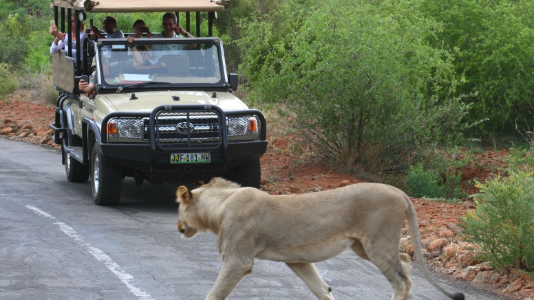 Game Drive Bakubung Gate SA Residents image 10