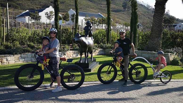 Vinebikes  Franschhoek - Half Day E-Bike Wine Tour image 3