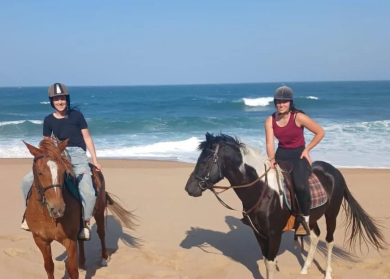 30 Minute Beach Horse Ride Ballito image 2