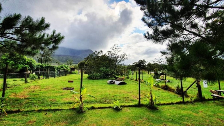 Tsitsikamma Wolf Sanctuary image 7