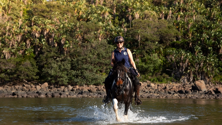 7 night 8 day Wild Coast Horse Trail our Signature Monthly Adventure Trail image 13