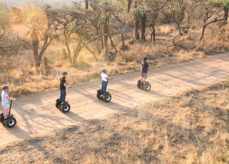 1 Hour Segway Safari at Tala Game Reserve image 2 1 Hour Segway Safari at Tala Game Reserve image 2