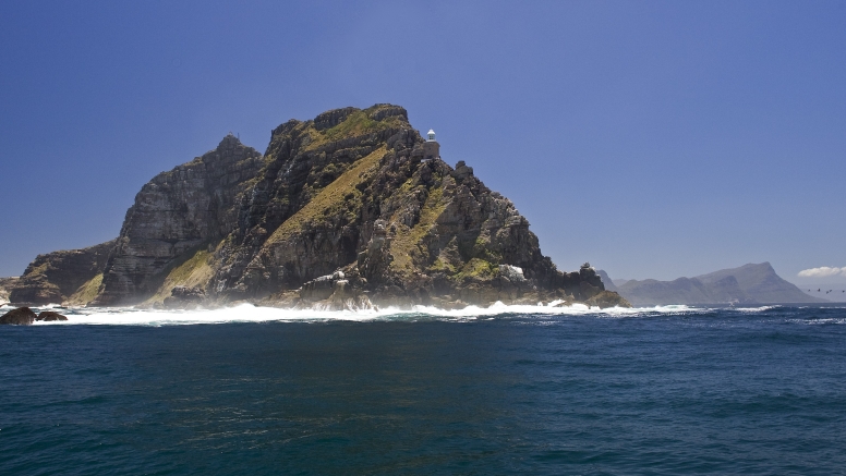 Shark Cage Diving Cape Town image 8