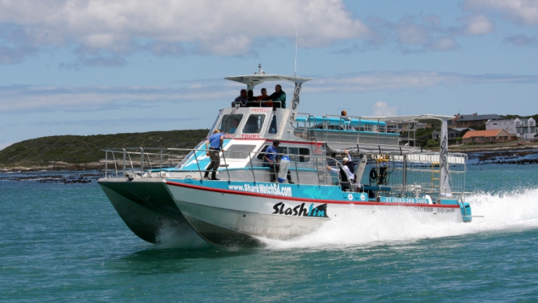 Shark Cage Diving Gansbaai with return transfer from Hermanus image 2