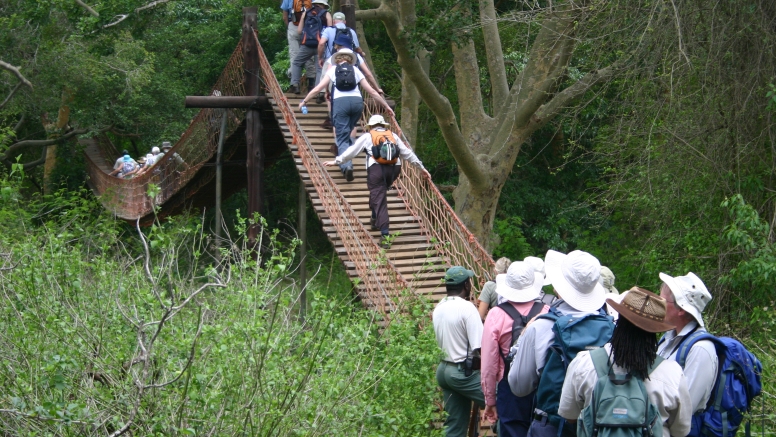 uMkhuze Fig Forest Walk image 5