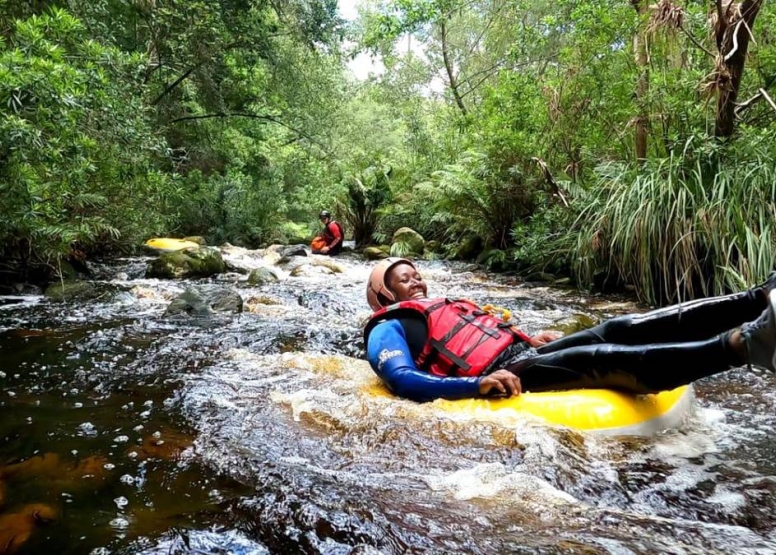 Tubing and SUP Forest Combo image 5