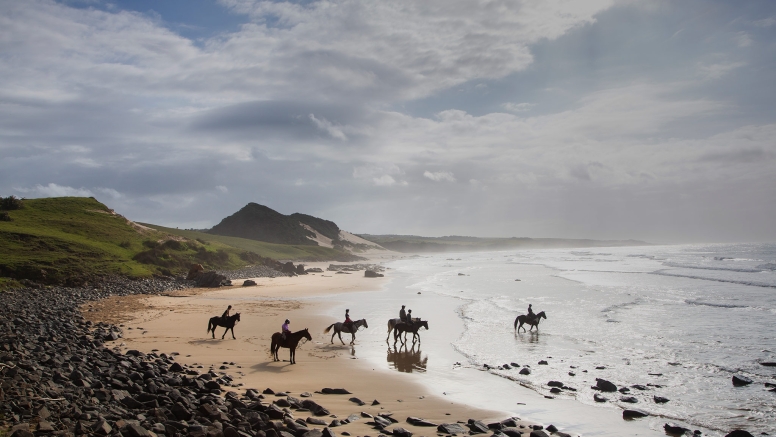 Kei Mouth Beginners Beach Ride image 9