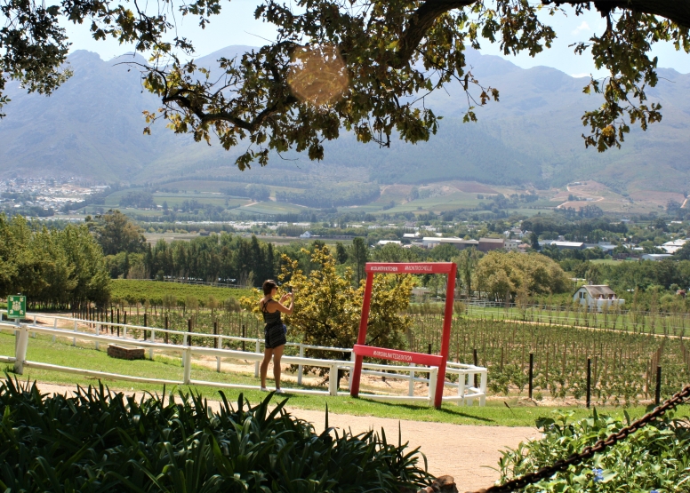 Franschhoek Experience image 5